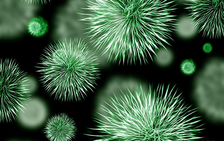 Photo of bacteria. 