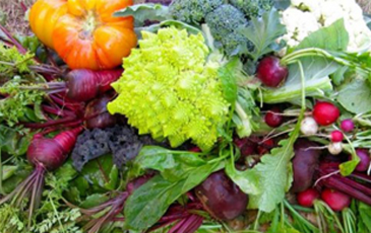 A collection of vegitables