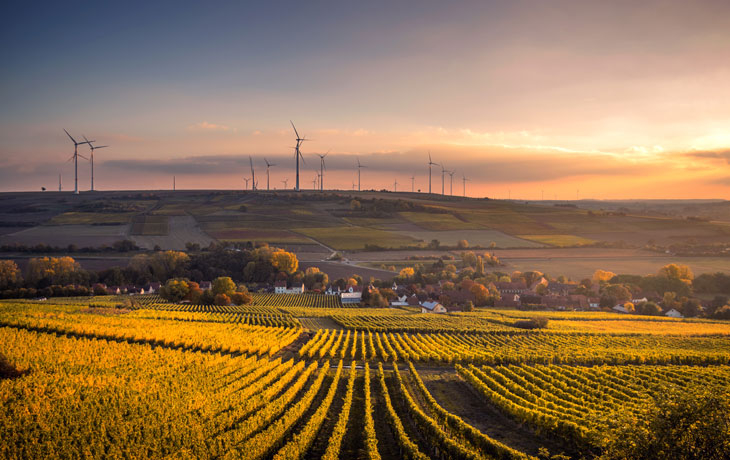 Image of wind turbines near fields 