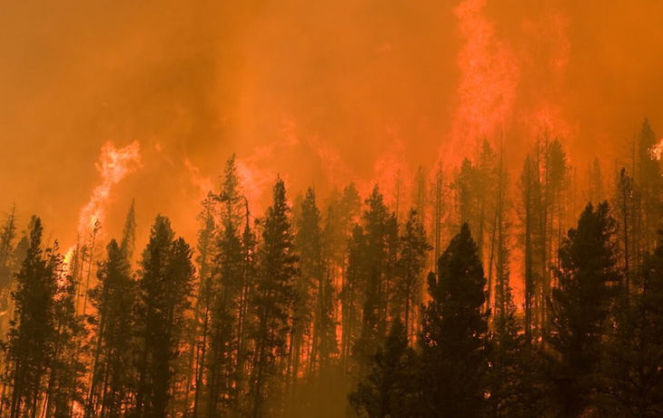 Castle Rock Fire, 2007, Idaho