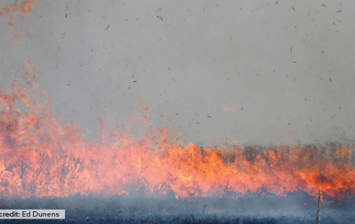 Fire image provided by Ed Dunens