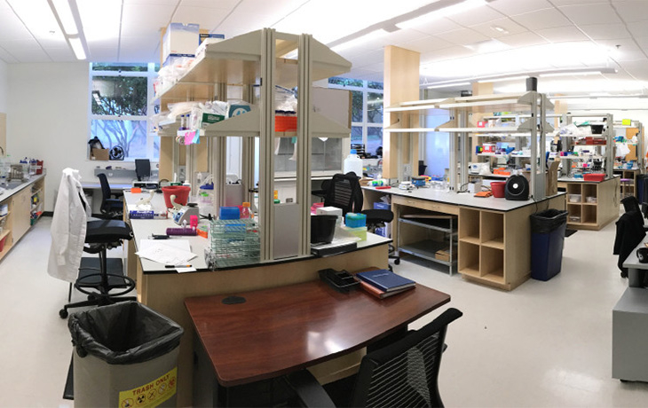 Nomura lab