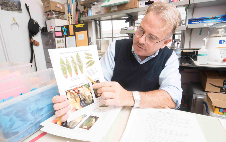 Professor Garbelotto showing a chart of leaves