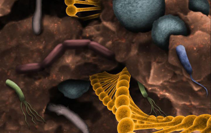 computer-generated image of microbes