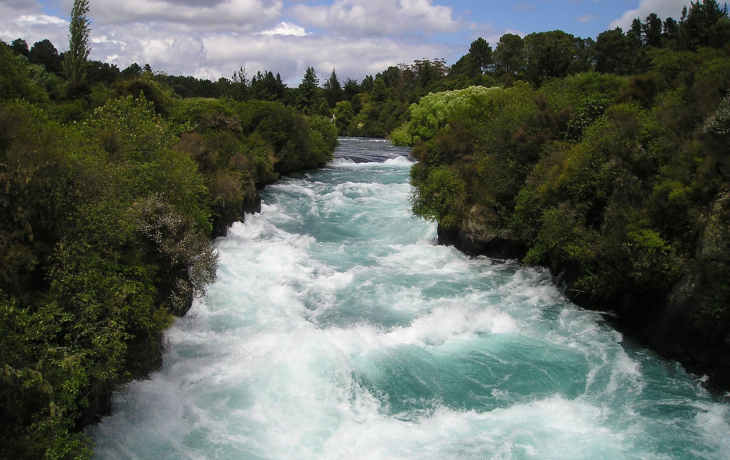 A river flowing with a forest of trees on both sides.