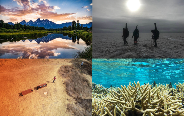 a grid of beautiful images