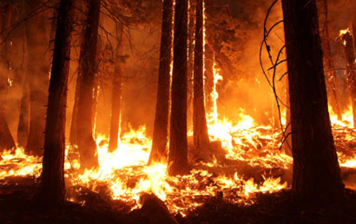 The 2013 Rim Fire in California