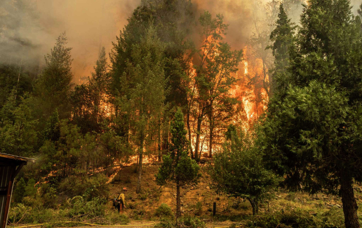 Forest burning and fire fighters are trying to exstinguish it.