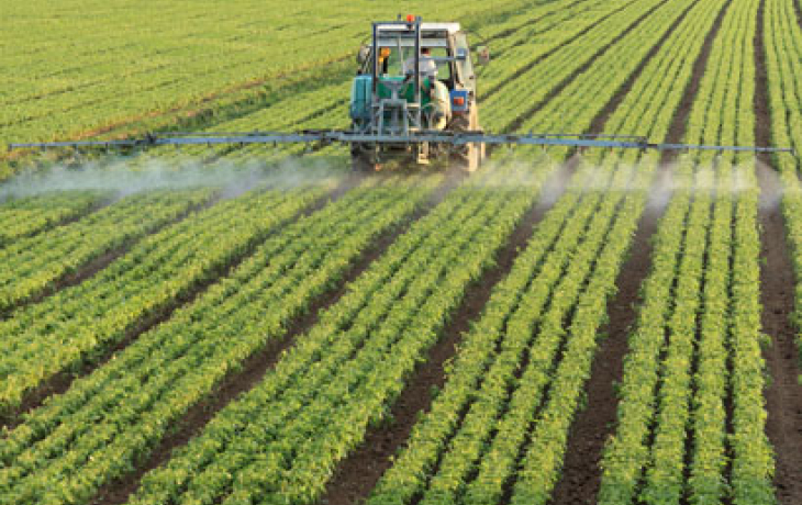 Farm machine on rows of crops