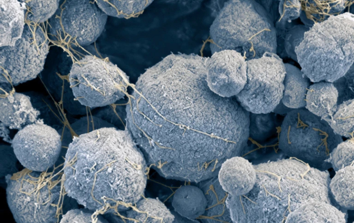illustration of blue archaea microbe zoomed in microscopically