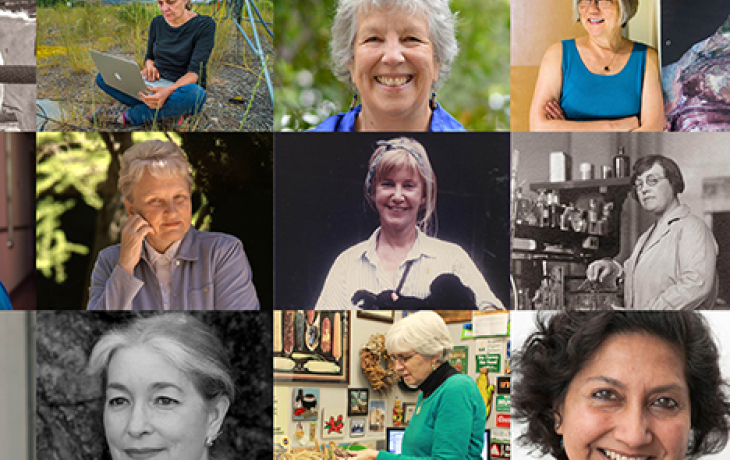 Collage of women. 