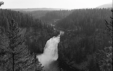NYT Middleton Yellowstone op-ed